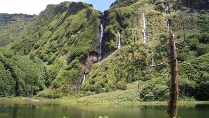 Green Azores