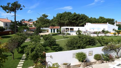 Surftrip Santa Cruz Surftrip Santa Cruz