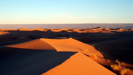 Maximum Drought in the Sahara