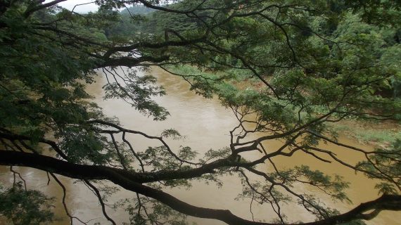 Flüsse sind voll mit Wasser während der Regenzeit