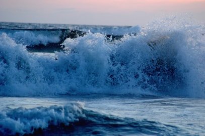 Beißt und kratzt auch mal: Der Ozean