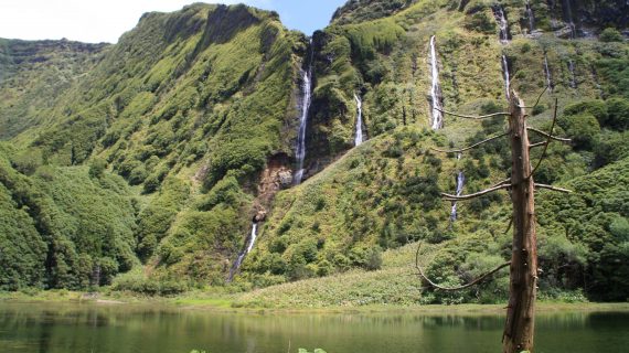 Die grünen Azoren Die grünen Azoren