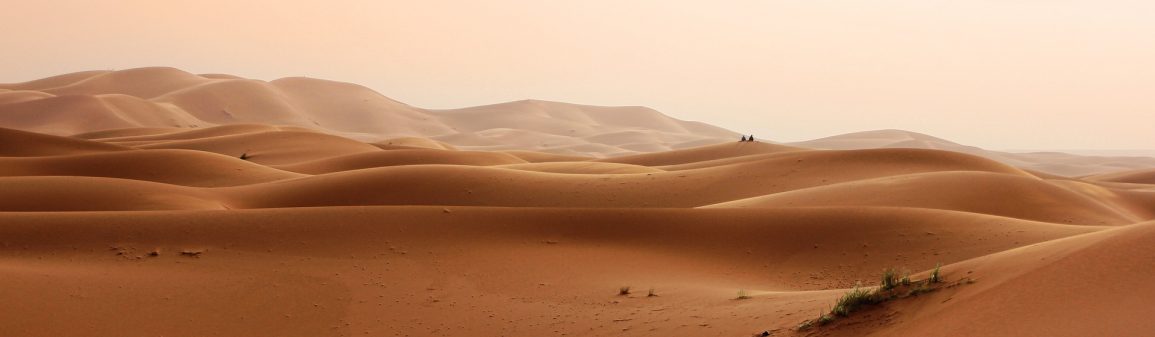 Die sanften Dünen der Wüste