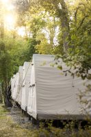 Ihr wohnt in Mitten eines schönen Pinienwaldes