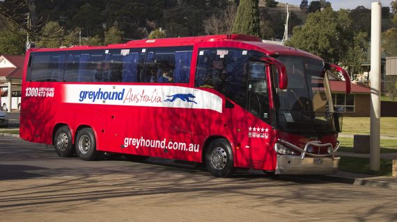 Greyhound-Bus Greyhound-Bus