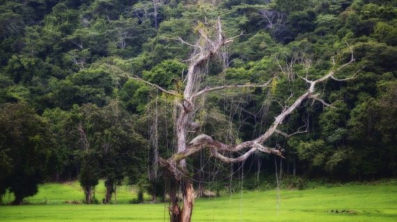 Regenzeit in Mittelamerika Regenzeit in Mittelamerika
