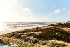 Dünenlandschaft Dünenlandschaft