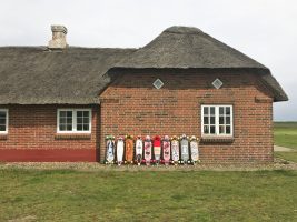 Surfcamp Hvide Sande