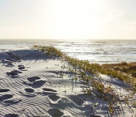 Aktivitäten Dänemark