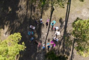 Surfcamps San Vicente de la Barquera Surfcamps San Vicente de la Barquera