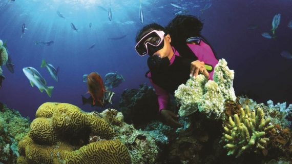 Der Indische Ozean Der Indische Ozean