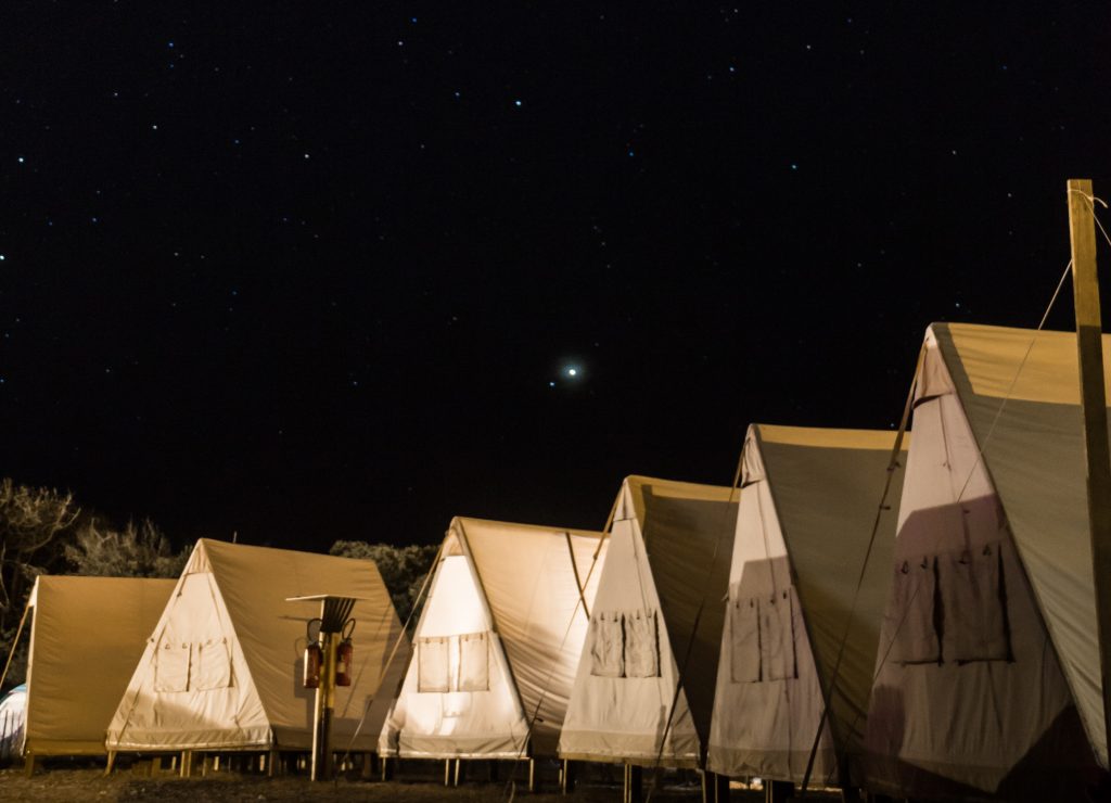 Planet Surf Camp