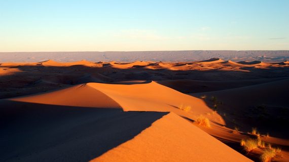 Maximale Trockenheit in der Sahara