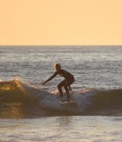 Erste grüne Welle Erste grüne Welle