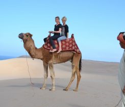 Balade en chameau