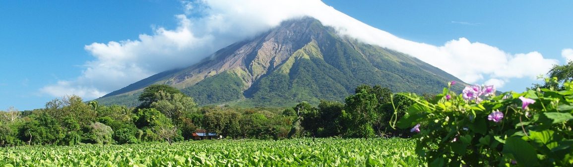 Grünes Nicaragua Grünes Nicaragua