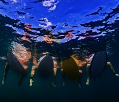 Auf die Wellen warten Auf die Wellen warten