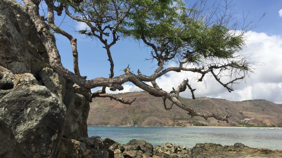 In der Trockenzeit fällt kaum ein Tropfen In der Trockenzeit fällt kaum ein Tropfen