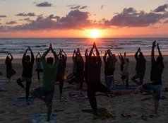 offer2 Surfcamp Frankreich Le Pin Sec