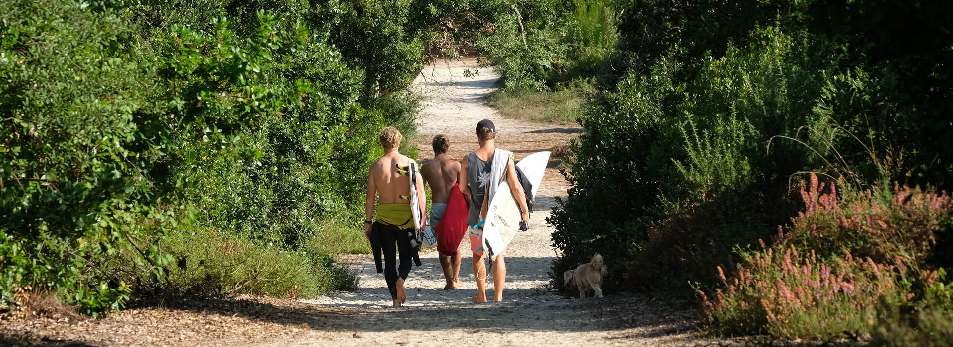 Surfcamp Frankreich in sommer